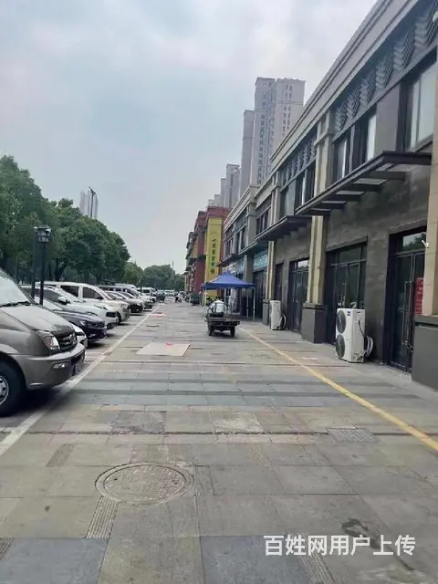 湖塘第三实小路劲城单价6980沿街商铺旁边菜场 社区医院 - 图片 6