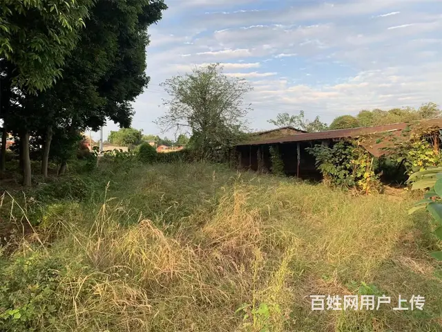 广汉西高镇5亩土地+库房出租 - 图片 4