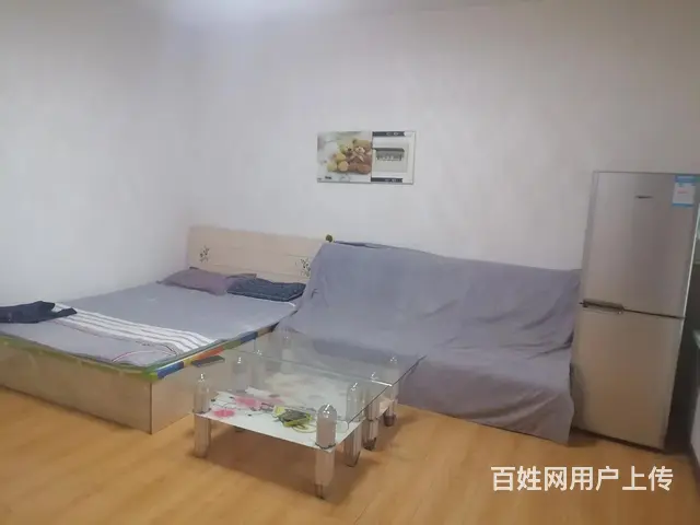 尚盈丽景(东区)(东陵/浑南-白塔堡) 普通住宅1厅 精装修 - 图片 3