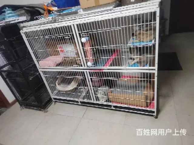 二手猫笼 - 图片 3