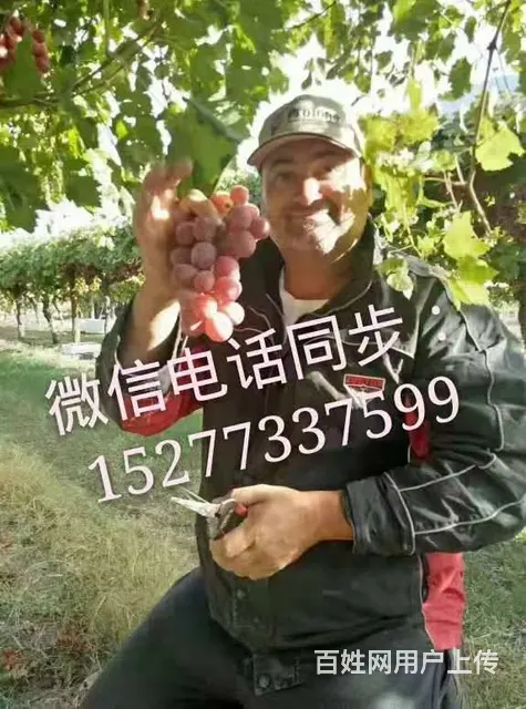 瑞典、丹麦大型工厂高薪招聘包食宿 - 图片 6