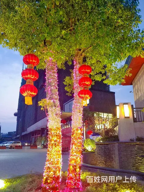 城市标杆！绿城环绕！粤港澳的后花园，依江伴湖！值 - 图片 3