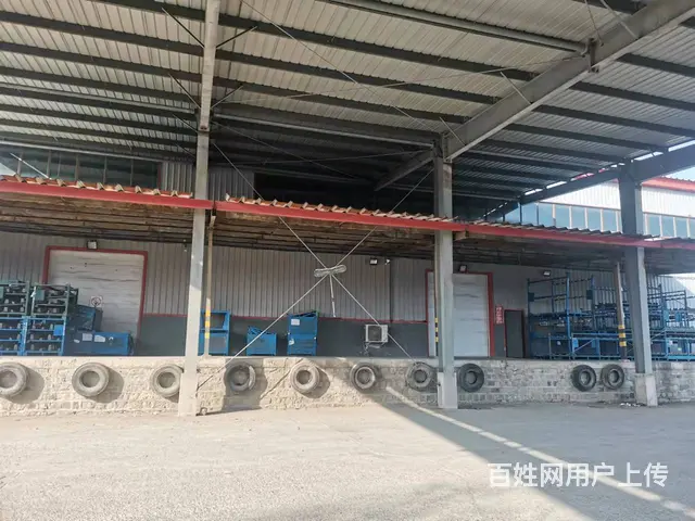 标准钢结构厂房出租500--5000平不等，可分租 - 图片