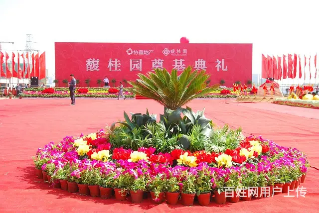 拱门气球气模，条幅，礼仪模特，活动策划 - 图片 7