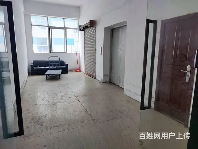 珠海前山翠微 厂房办公 310㎡ 33元/㎡免中介急租 - 图片 2