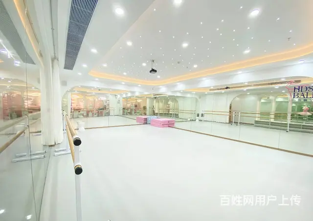 珠海舞蹈芭蕾舞成人舞蹈芭蕾舞培训 - 图片 5