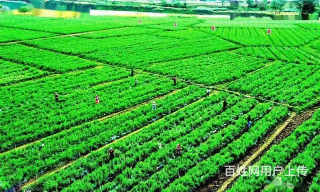 宜春招新西兰出国劳务建筑木工 瓦工 司机 包吃住 - 图片 1