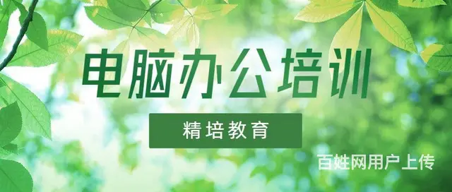 临沂精培教育平面设计 - 图片 2