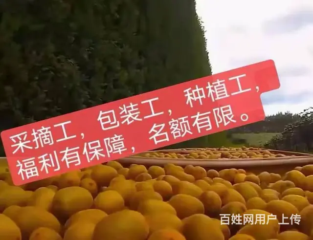 A常州出国安全发达国家，工签务工年入40万 - 图片 5