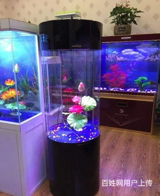 水簇服务 鱼缸换水清洗 鱼缸维修保养 - 图片 7
