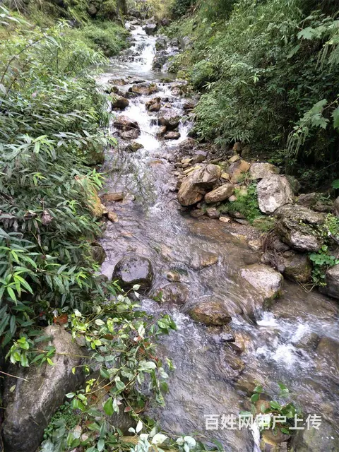 雅安芦山 一套木质农房求出租或合伙 - 图片 4