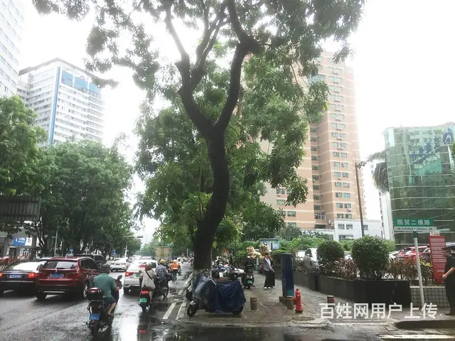 （51旺铺推荐）龙华区国贸二横路50平餐饮店转让 - 图片 4