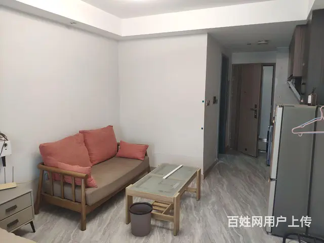 绿城百合精装修公寓出租 - 图片 1