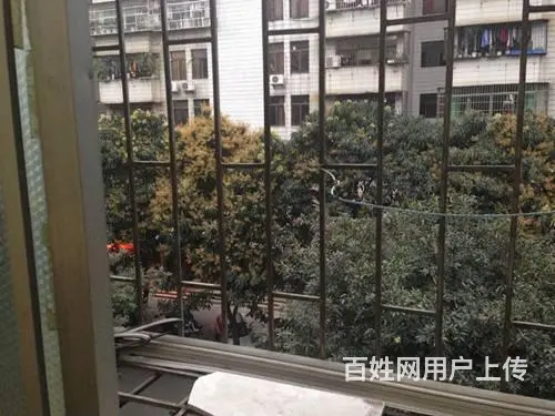 紫荆园 普通住宅 精装修 - 图片 12