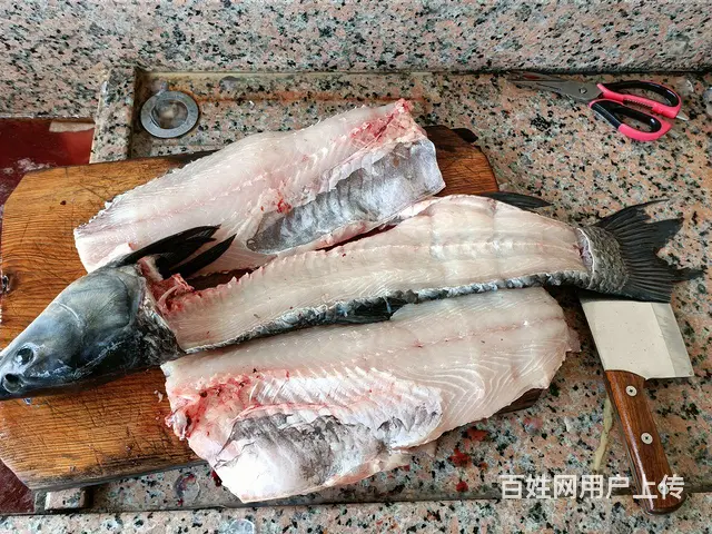 螺蛳青鱼，手竿钓的吃不完拿来卖 - 图片 2