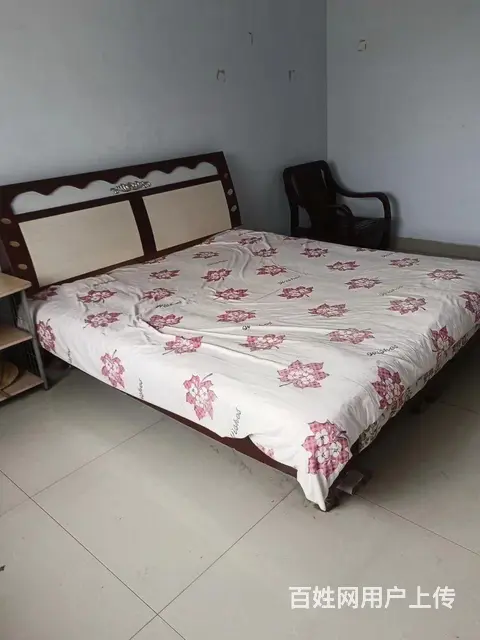  - 图片 6
