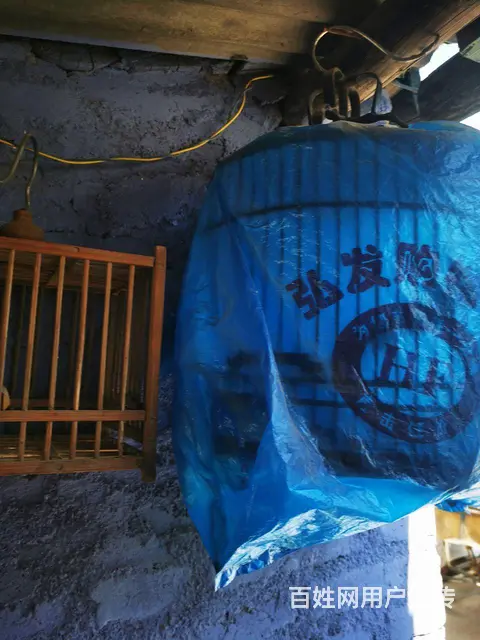 出售蝈蝈笼，鸟笼，打笼 - 图片 5