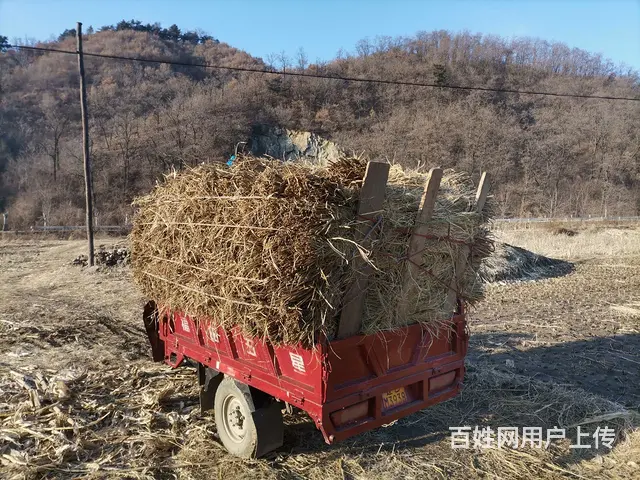 买卖手割稻草和卖稻草帘，卖柴油机和自作玉米脱粒机 - 图片 5