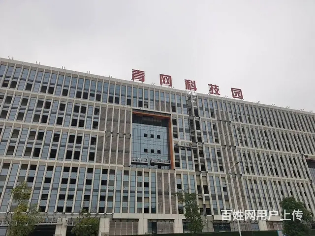 4438平一楼标准化厂房出租 10元/平 0物业费 - 图片 6