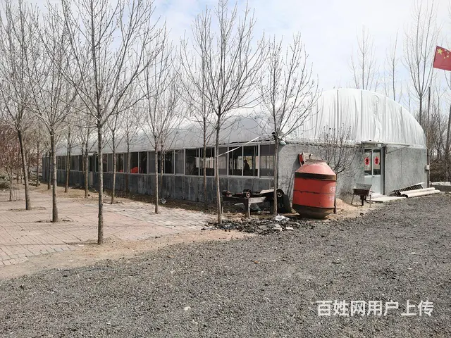 饭店+垂钓园濒临文昌湖的农家乐出租出售 - 图片 1
