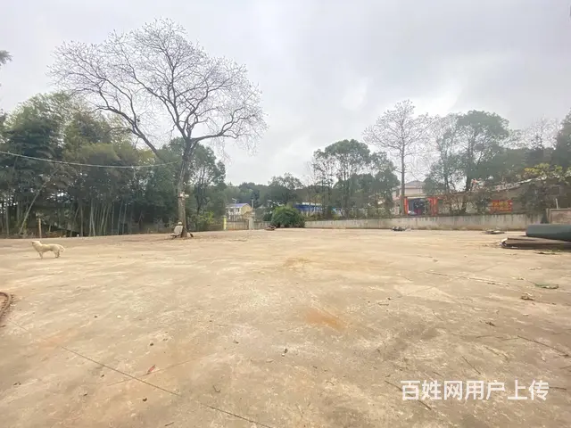 (房东直租)开福区汉回2000平硬化场地，带住房优价出租 - 图片 9