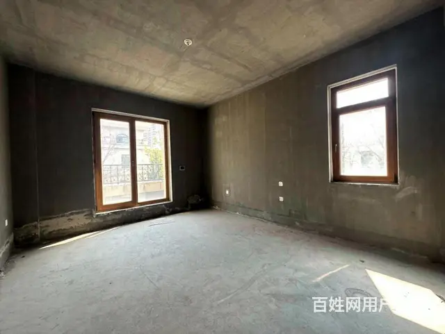 翠湖边户别墅 中间位 超大花园 双车库 室内电梯 没税 - 图片 8