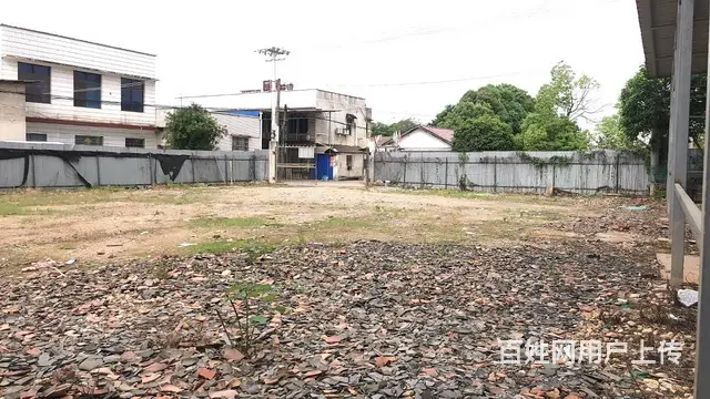 房东直租）恒广107国道旁1000平米独院场地+钢架棚出租 - 图片 5