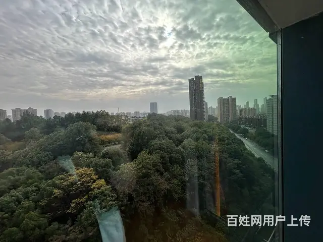 （老板本人）雨花区京武中心甲级精装修写字楼出租  5657 - 图片 11
