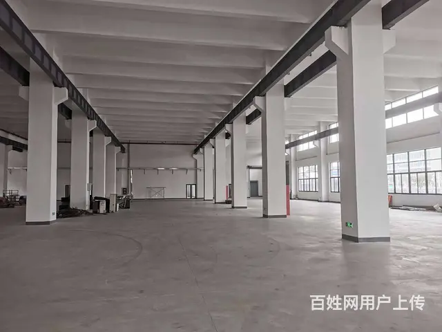 碧溪沿江开发区全新1至3层共10000平，5吨货梯，场地大。 - 图片 9
