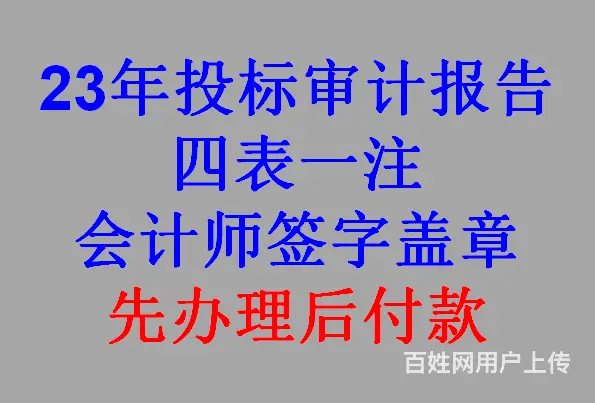 23年财务审计报告多少钱 - 图片 4