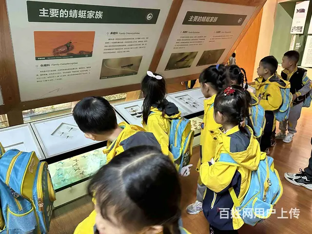 昆明官渡区便宜幼儿园	选去昆明睿思幼儿园 - 图片 2