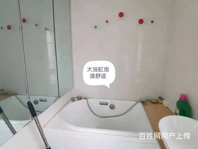 龙喜花苑二厅精装、提包入住！（个人） - 图片 3