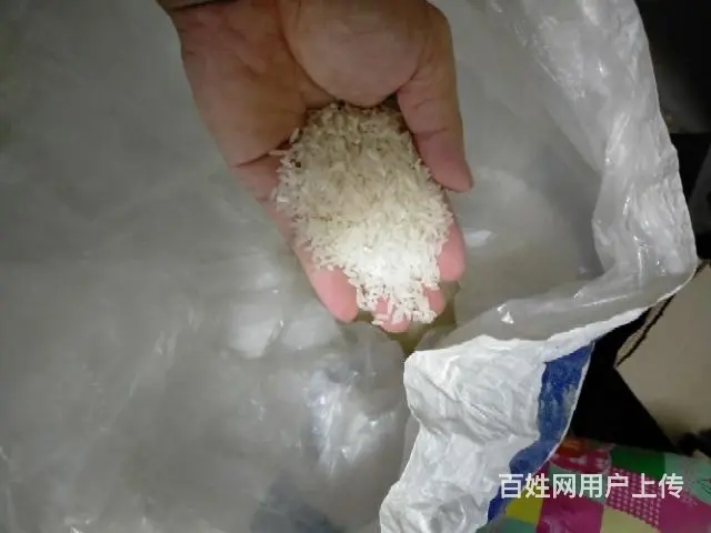 有大米卖 - 图片 3