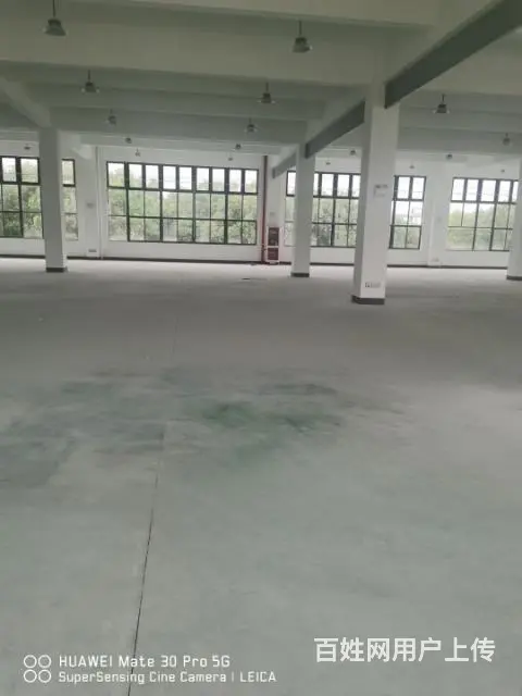 陆家独院厂房出租 - 图片