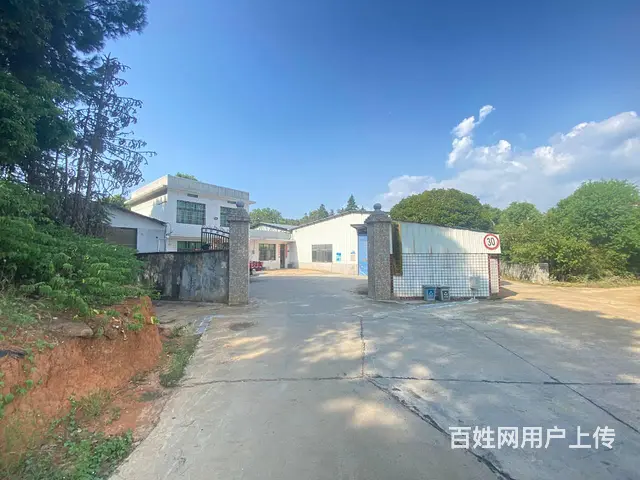 (房东直租)黄花开元大道，松雅湖黄兴大道旁600平厂房出租 - 图片 3