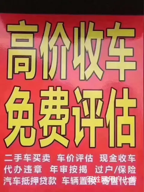 嘉兴各品牌新车、二手车批发 - 图片 2