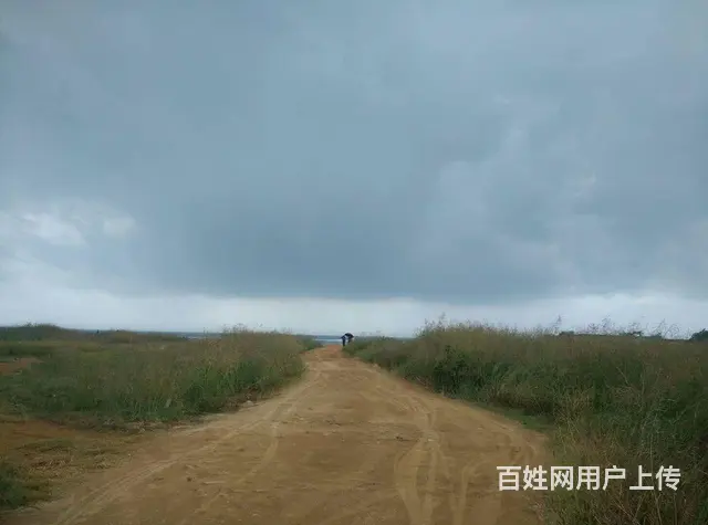 职业股票交易培训 - 图片 9