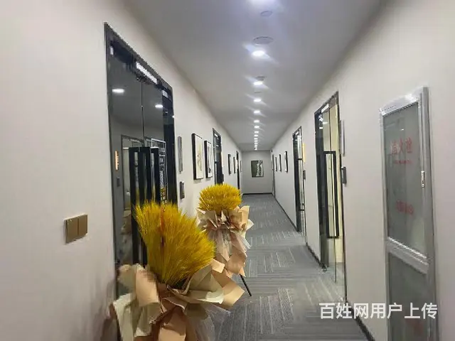莱茵矩阵国际200方300方900方整层精装，开发商降价出售 - 图片 8