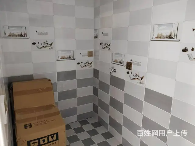 鹿林山精装修未入住楼房 - 图片 2
