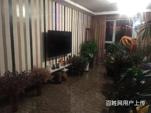 日租短租房 - 图片 2