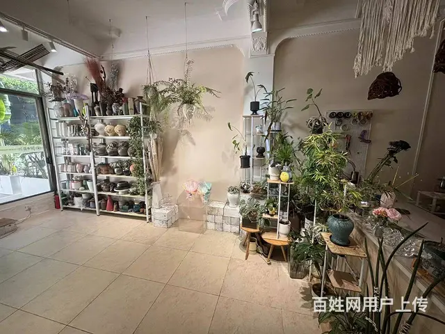 （51旺铺推荐）阳区海螺40平花艺店转让 - 图片 9