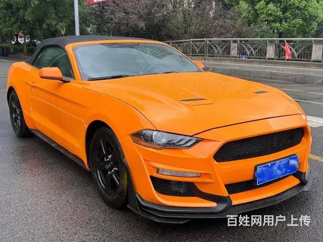 福特野马敞篷 - 图片 3