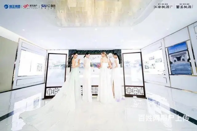 雪溪桃源湖州高铁站旁  科技新城单价12000 - 图片 4