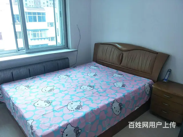 东中街 地铁口 津桥市场旁 包网 出租 精装 2室1厅 - 图片 9
