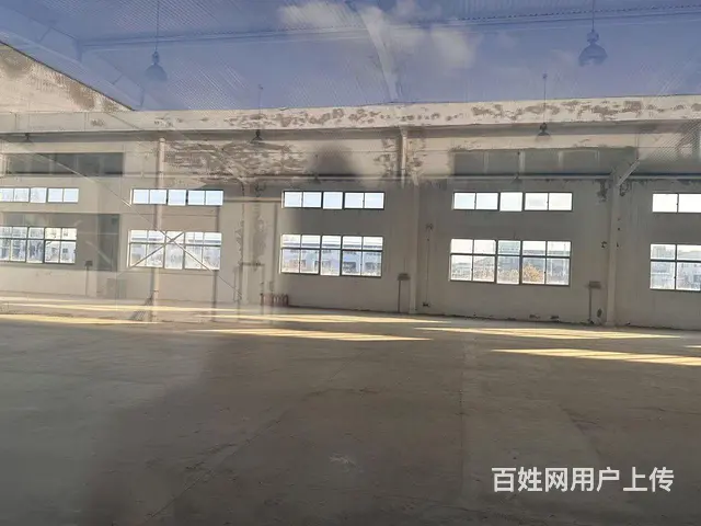 （新房源）初村钢结构独门独院8米高厂房大院子出租 - 图片 5