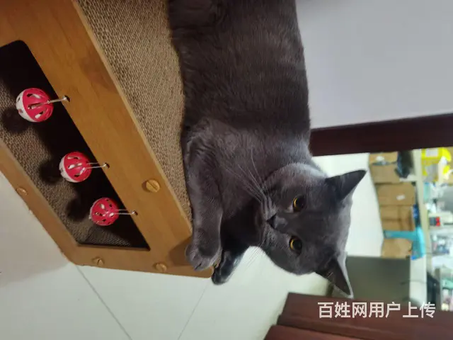 海天5楼，76平，15万 - 图片