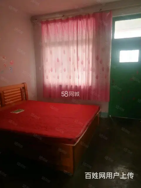 急于出手 - 图片 2