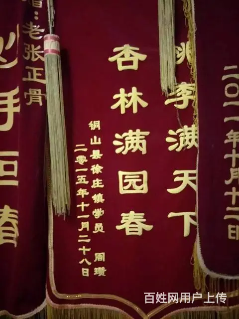 正骨圣手 张老二中医祖传骨科  培训招生 - 图片 4