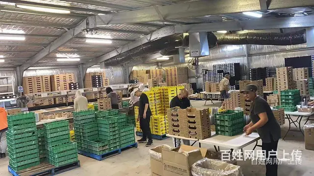 承德出国务工急招以色列叉车司机包吃住 - 图片 4