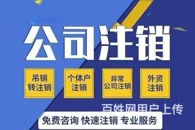 本地财税服务提供代理记账、工商年检申报服务 - 图片